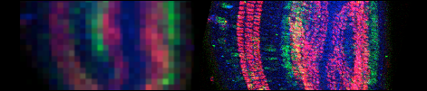 GSECARS XRF Imaging